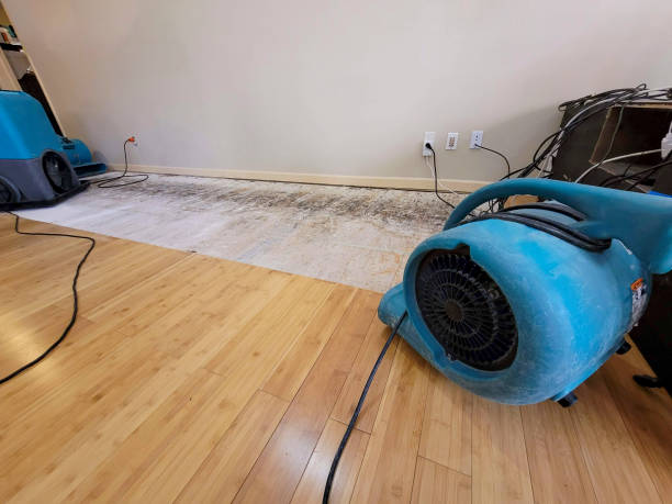 Professional Sewage Cleanup technician working in Oakdale, LA